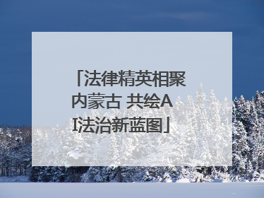 法律精英相聚内蒙古 共绘AI法治新蓝图