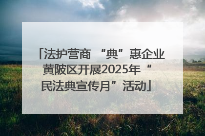 法护营商 “典”惠企业 黄陂区开展2025年“民法典宣传月”活动