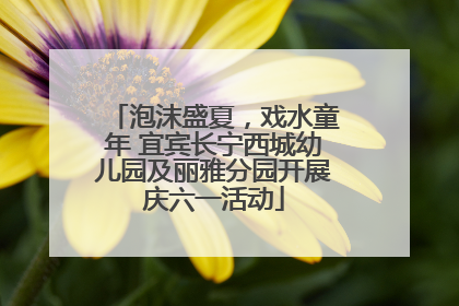 泡沫盛夏，戏水童年 宜宾长宁西城幼儿园及丽雅分园开展庆六一活动