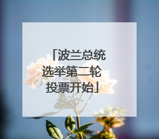 波兰总统选举第二轮投票开始