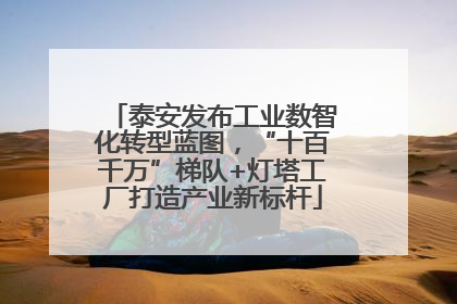泰安发布工业数智化转型蓝图，“十百千万”梯队+灯塔工厂打造产业新标杆