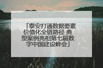 泰安打通数据要素价值化全链路径 典型案例亮相第七届数字中国建设峰会
