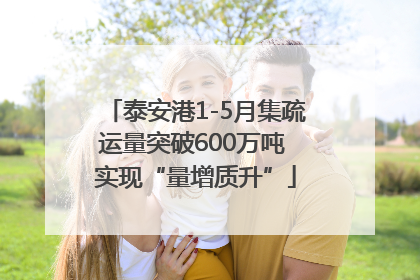 泰安港1-5月集疏运量突破600万吨 实现“量增质升”