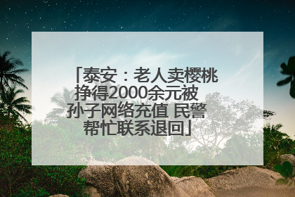 泰安：老人卖樱桃挣得2000余元被孙子网络充值 民警帮忙联系退回