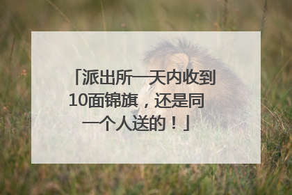 派出所一天内收到10面锦旗，还是同一个人送的！