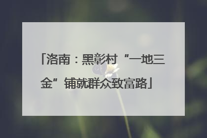 洛南：黑彰村“一地三金”铺就群众致富路