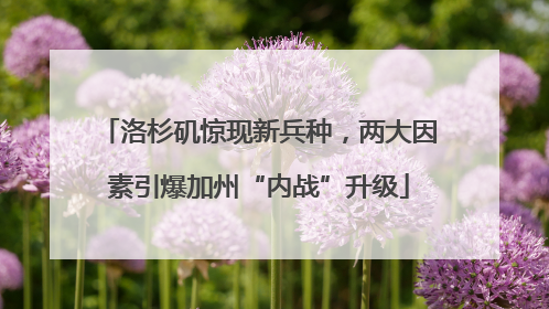 洛杉矶惊现新兵种，两大因素引爆加州“内战”升级