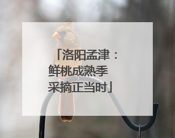 洛阳孟津：鲜桃成熟季 采摘正当时