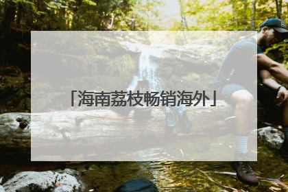 海南荔枝畅销海外