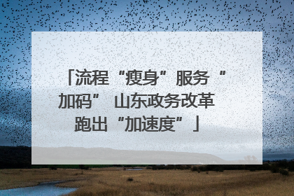 流程“瘦身”服务“加码” 山东政务改革跑出“加速度”