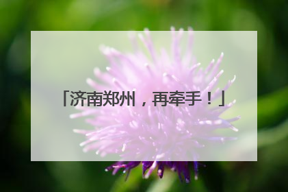 济南郑州，再牵手！