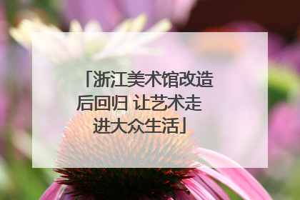 浙江美术馆改造后回归 让艺术走进大众生活