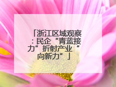 浙江区域观察：民企“青蓝接力”折射产业“向新力”