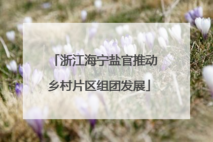 浙江海宁盐官推动乡村片区组团发展