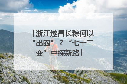 浙江遂昌长粽何以“出圈”？“七十二变”中探新路