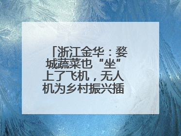 浙江金华：婺城蔬菜也“坐”上了飞机，无人机为乡村振兴插上“翅膀”