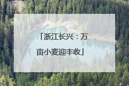 浙江长兴：万亩小麦迎丰收