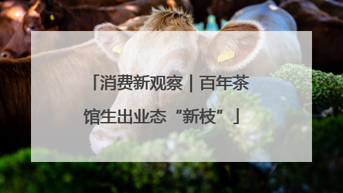 消费新观察｜百年茶馆生出业态“新枝”