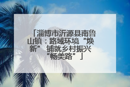 淄博市沂源县南鲁山镇：路域环境“焕新” 铺就乡村振兴“畅美路”