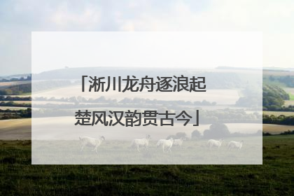 淅川龙舟逐浪起 楚风汉韵贯古今