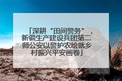 深耕“田间警务”，新疆生产建设兵团第二师公安以警护农绘就乡村振兴平安画卷