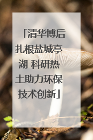 清华博后扎根盐城亭湖 科研热土助力环保技术创新