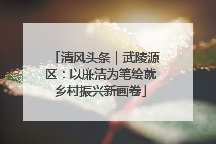 清风头条｜武陵源区：以廉洁为笔绘就乡村振兴新画卷