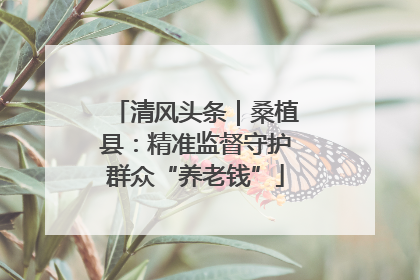 清风头条｜桑植县：精准监督守护群众“养老钱”