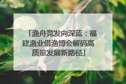渔舟竞发向深蓝：福建渔业借渔博会解码高质量发展新路径