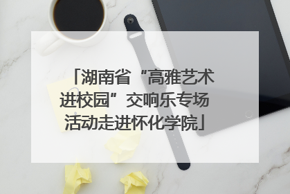 湖南省“高雅艺术进校园”交响乐专场活动走进怀化学院