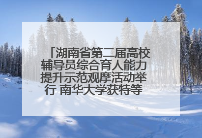 湖南省第二届高校辅导员综合育人能力提升示范观摩活动举行 南华大学获特等奖和一等奖