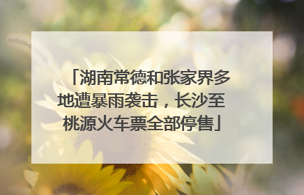 湖南常德和张家界多地遭暴雨袭击，长沙至桃源火车票全部停售