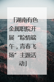 湖南有色金属职院开展“粽情端午，青春飞扬”主题活动