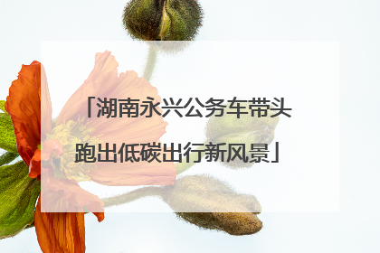 湖南永兴公务车带头跑出低碳出行新风景