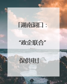 湖南洞口：“政企联合”保供电