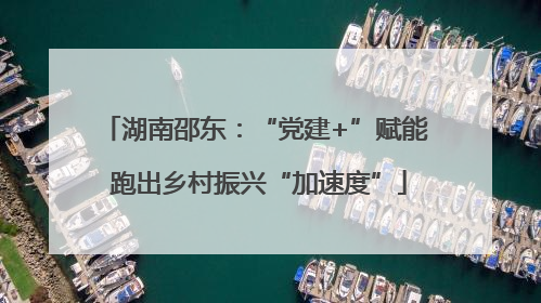 湖南邵东：“党建+”赋能 跑出乡村振兴“加速度”