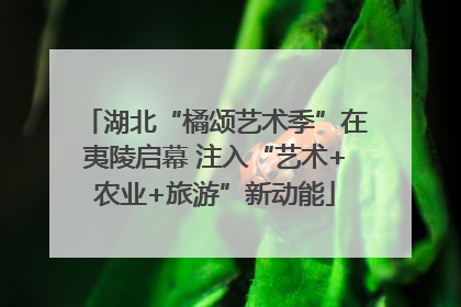 湖北“橘颂艺术季”在夷陵启幕 注入“艺术+农业+旅游”新动能