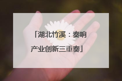 湖北竹溪：奏响产业创新三重奏