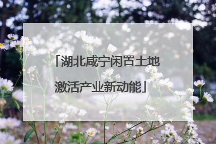湖北咸宁闲置土地激活产业新动能