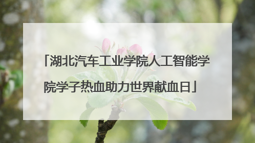 湖北汽车工业学院人工智能学院学子热血助力世界献血日