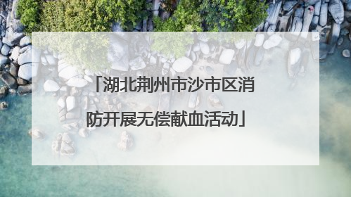 湖北荆州市沙市区消防开展无偿献血活动