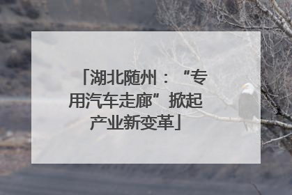 湖北随州：“专用汽车走廊”掀起产业新变革