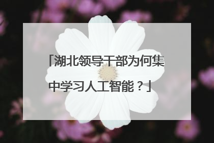 湖北领导干部为何集中学习人工智能？