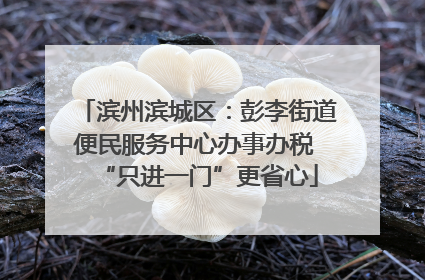 滨州滨城区：彭李街道便民服务中心办事办税 “只进一门”更省心
