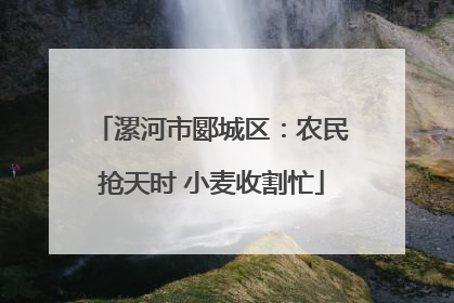 漯河市郾城区：农民抢天时 小麦收割忙