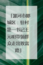 漯河市郾城区：驻村第一书记王元明带领群众走出致富路