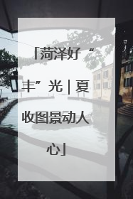 菏泽好“丰”光｜夏收图景动人心