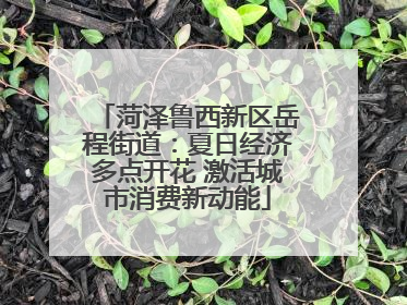 菏泽鲁西新区岳程街道：夏日经济多点开花 激活城市消费新动能