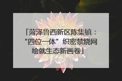 菏泽鲁西新区陈集镇：“四位一体”织密禁烧网 绘就生态新画卷