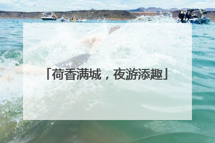 荷香满城，夜游添趣